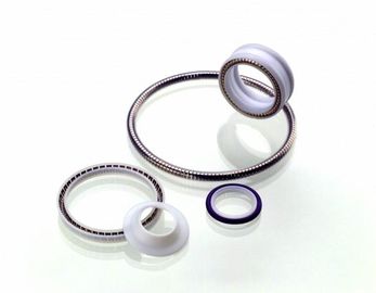 Σφραγίδα PTFE, ενεργοποιημένη άνοιξη τεφλόν σφραγίδα, τεφλόν περιστροφική σφραγίδα, στατική σφραγίδα PTFE